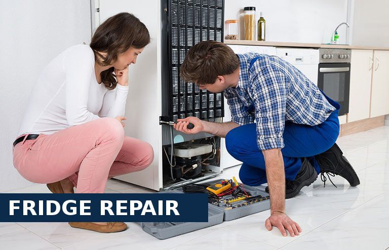 Fridge Repair Holloway